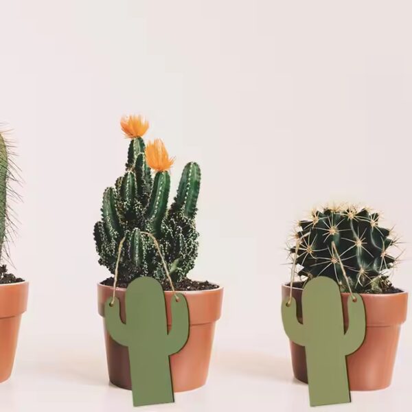 Three potted cacti with decorative wooden cactus tags. Creative wooden cactus decor for wholesale distribution.