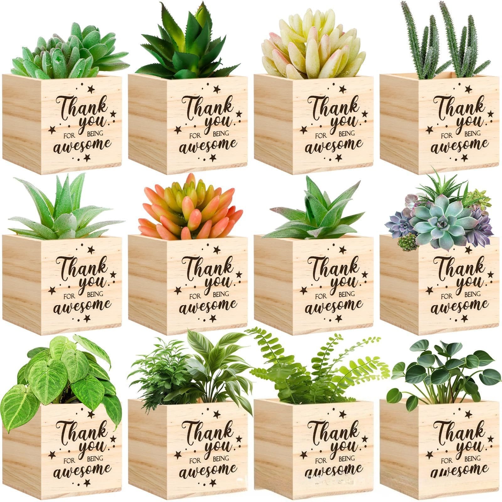 Planter Box Wholesale Costconull